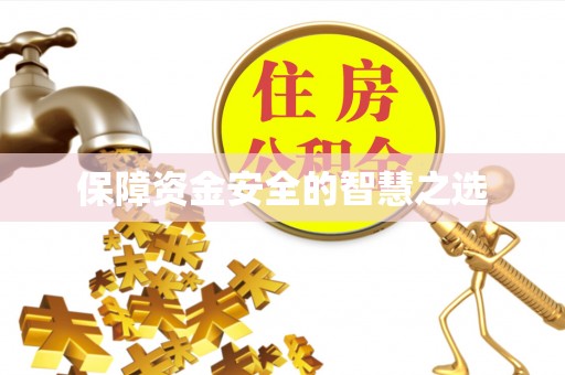渭城保障资金安全的智慧之选